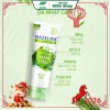 Sữa rửa mặt Hazeline Chiết Xuất Thiên Nhiên Tràm trà Cica 50g Tràm trà Cica  50g-0